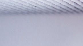 Crédito: lyulka /Canva