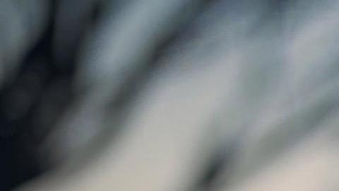 Aprende a contactar a tus guías espirituales.