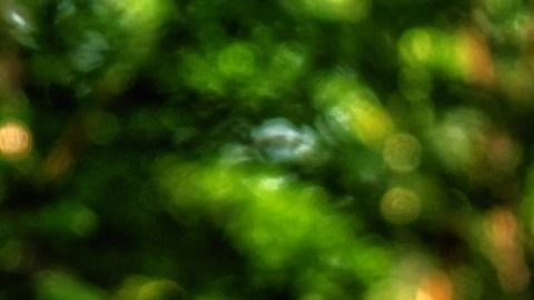 Los arcángeles son mensajeros de Dios.