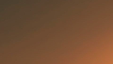 Todos tenemos un ángel de la guarda.