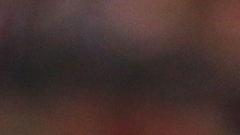 antonio briseño baile