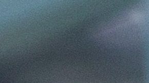 Oficiales de la policía de Los Ángeles usan máscaras de tela para protegerse.