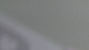 La familia quería darle un momento de alegría a la futura madre.