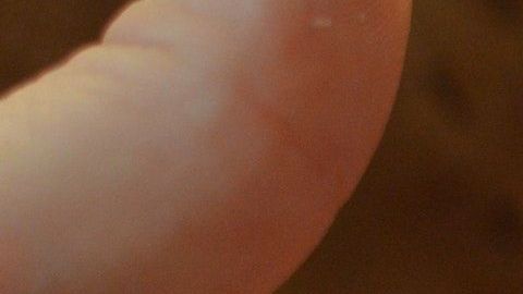 Lo mejor para proteger a tu familia y tu bebé es alejarte de las personas que están enfermas.