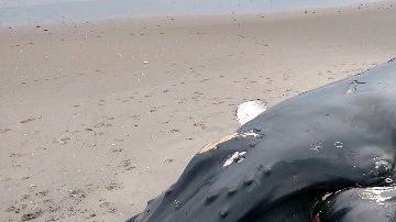 La zona fue cerrada al público