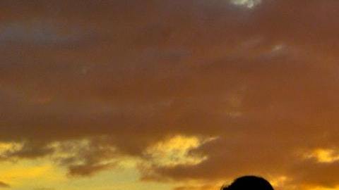 Un consejo de amor para cada signo zodiacal.