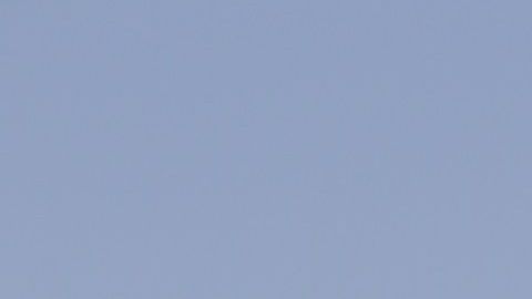 El crucero "MS Zandaam" fue autorizado al desembarco de la mayoría de personas a bordo.