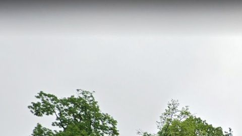 Otro problema con elefantes en zoológico de El Bronx