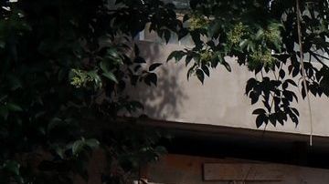 Exterior del edificio donde fue asesinada Cristina Vázquez.