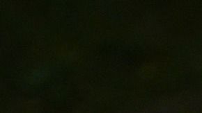 Involucra a todos los miembros de la familia y pasen un rato muy divertido en casa.