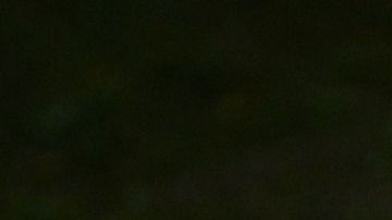 Involucra a todos los miembros de la familia y pasen un rato muy divertido en casa.