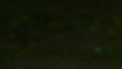 Involucra a todos los miembros de la familia y pasen un rato muy divertido en casa.