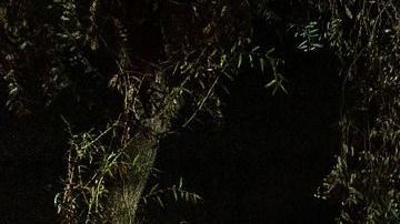 El poco dinero que les quedaba lo invirtieron en la tienda de campaña.