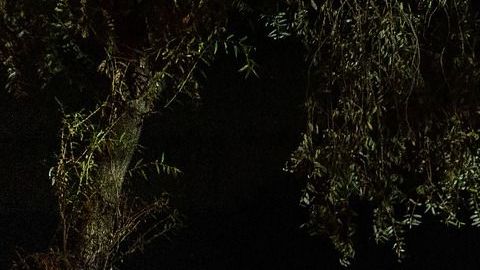 El poco dinero que les quedaba lo invirtieron en la tienda de campaña.