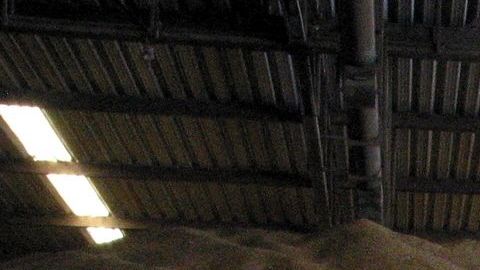 El Gobierno mexicano quiere evitar una crisis alimentaria.