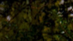 Uno de los nuevos SUV de Fiat contará con diseño estilo coupé.