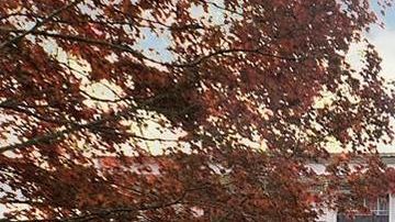 Casa de 380 años de antigüedad en Hanover, Massachusetts.