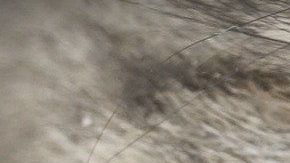 Un efecto por su corte de pelo sería la explicación ante singular rostro.