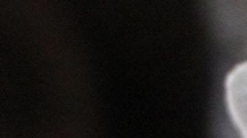 El gato representa a los Acuario.