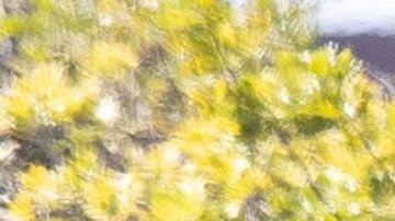 California está realizando más pruebas de coronavirus.