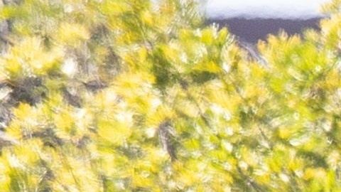 California está realizando más pruebas de coronavirus.