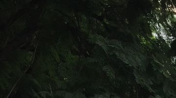 El Centro Médico Siglo XXI, en Ciudad de México.