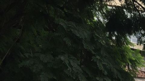 El Centro Médico Siglo XXI, en Ciudad de México.