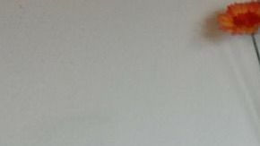 Un buen consejo es limpiar y ordenar luego de cada actividad.