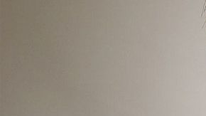 El consumo de pan ayuda al niño a desarrollar los músculos de la cara, y a fortalecer sus dientes y mandíbulas.