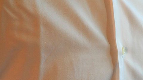 Completa el cuestionario desde tu hogar, online o por teléfono.