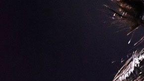 El portugués estuvo presente en el Clásico.