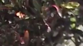 La pequeña Anna Ortiz, que cumplió 9 años, compartió su día con los bomberos y la policía de Miami Beach