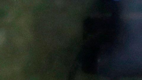 Trump no incluyó a indocumentados en su paquete de ayuda económica.