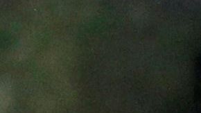 Trump no incluyó a indocumentados en su paquete de ayuda económica.