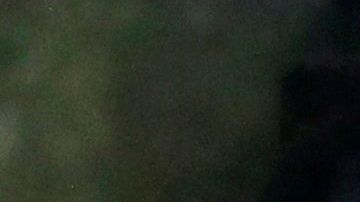 Trump no incluyó a indocumentados en su paquete de ayuda económica.