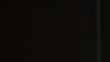 Hay hombres que llaman a su madre a diario.