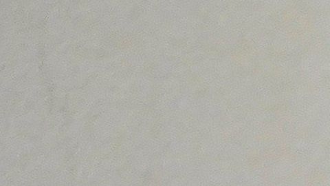 Bajo estrictas medidas sanitarias, se intentaría blindar a los deportistas de contagios.