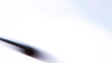 Las muertes aún siguen aumentando en California.