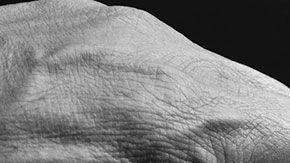 El hombre que recibió un disparo mortal en la cabeza fue declarado muerto en el lugar.