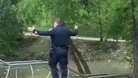 Unos patitos perdidos buscaron la ayuda de la policía para encontrar a su madre.