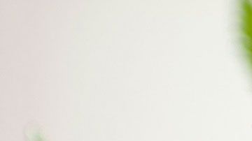 Los dulces fueron donados a través del bando de alimentos de Utah.