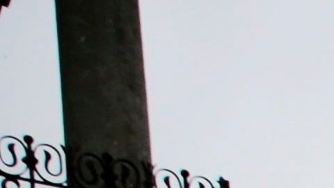 Portugal ha seguido la recomendación de la OMS de hacer muchas pruebas.