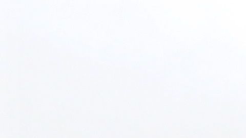 Cuomo pide a todos los estadounidenses que se queden en casa.