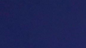 Trump muestra datos que sugieren que el virus muere más rápido sobre superficies expuestas al calor.