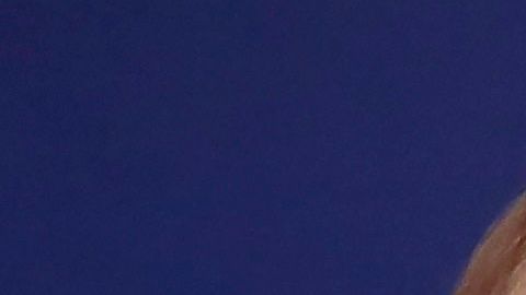 Trump muestra datos que sugieren que el virus muere más rápido sobre superficies expuestas al calor.