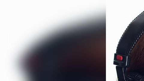 Lo mejor es que empieces a buscar un nuevo empleo si actualmente trabajas en estos.