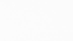 Se espera que los gatos se recuperen.