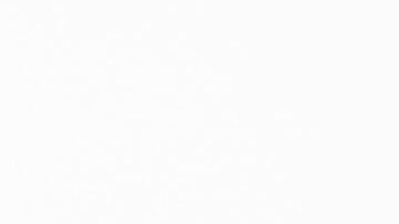 Se espera que los gatos se recuperen.