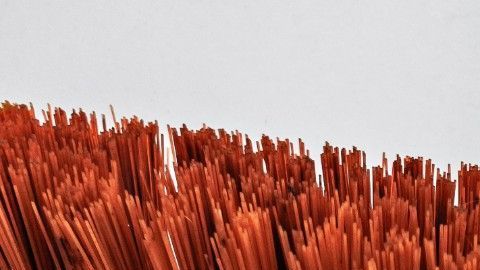 La escoba es gran aliada para el aseo de la casa, pero casi nadie sabe cómo limpiarla.