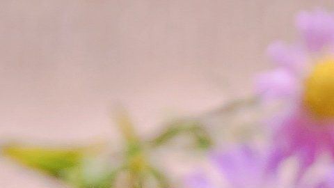 Usa el agua como tu protectora espiritual.